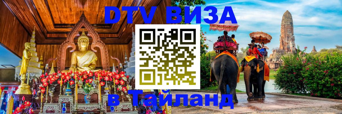 Сколько стоит DTV виза — актуальные цены, оформление даже без документов - Сочи  18.11.2025 